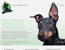 Tablet Screenshot of dogtracy.com